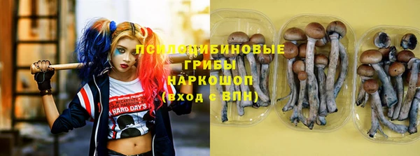 прущая мука Армянск