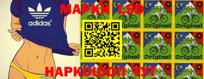 шишки Моздок
