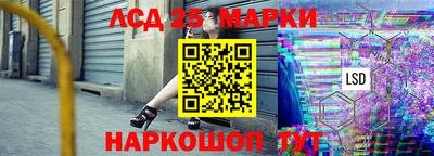 шишки Моздок