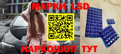 шишки Моздок