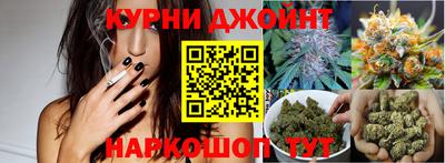 шишки Моздок
