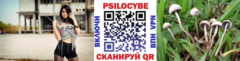 Галлюциногенные грибы GOLDEN TEACHER  Курган 