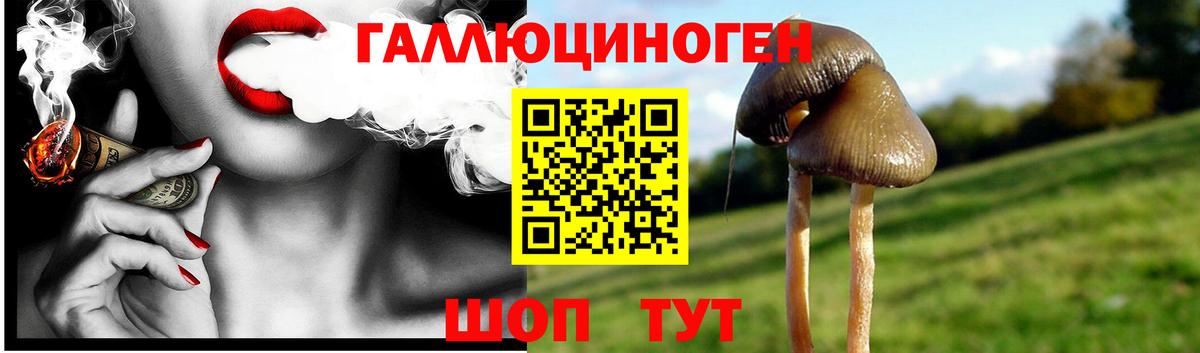 Псилоцибиновые грибы прущие грибы Курган