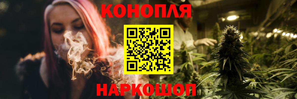 Конопля конопля Курган